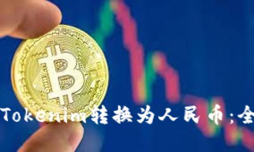 如何将Tokenim转换为人民币：全面指南