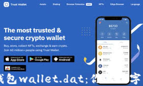
了解比特币钱包wallet.dat：你的数字资产安全之钥