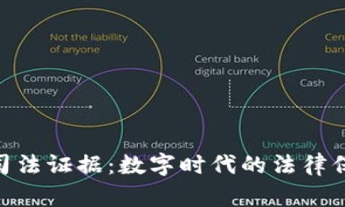 Tokenim司法证据：数字时代的法律保障与创新