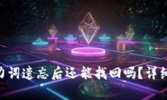 Tokenim钱包助力词遗忘后还能找回吗？详细解析与