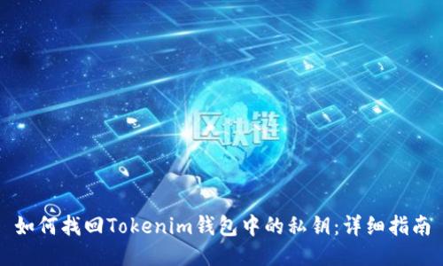 如何找回Tokenim钱包中的私钥：详细指南