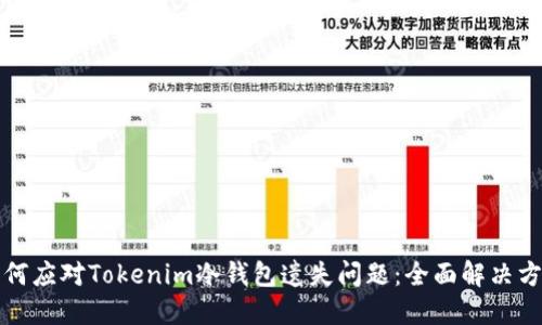 如何应对Tokenim冷钱包遗失问题：全面解决方案