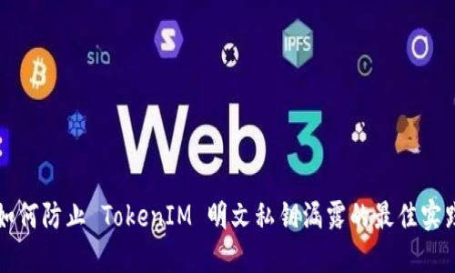 如何防止 TokenIM 明文私钥漏露的最佳实践