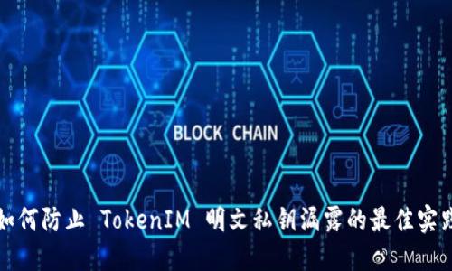 如何防止 TokenIM 明文私钥漏露的最佳实践