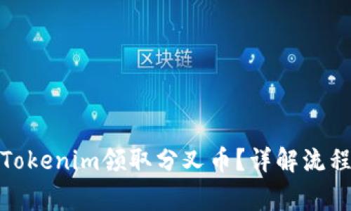 : 如何通过Tokenim领取分叉币？详解流程与注意事项