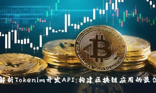 全面解析Tokenim开发API：构建区块链应用的最佳实践