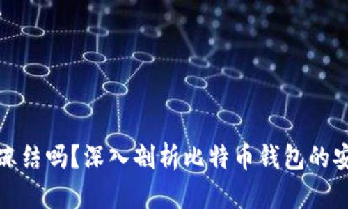 比特币钱包可以冻结吗？深入剖析比特币钱包的安全性和冻结机制