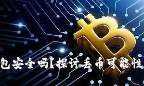 Tokenim钱包安全吗？探讨丢币可能性与防范措施