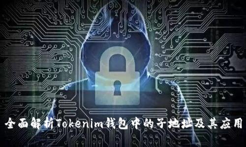 全面解析Tokenim钱包中的子地址及其应用
