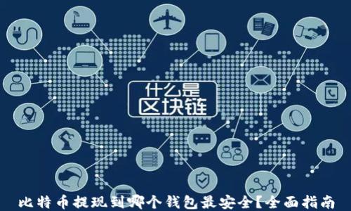 
比特币提现到哪个钱包最安全？全面指南