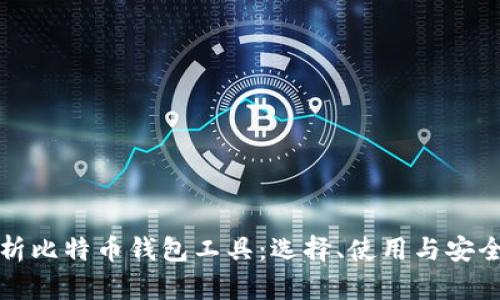 全面解析比特币钱包工具：选择、使用与安全性指南