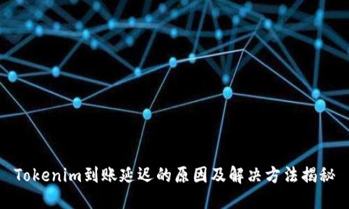 Tokenim到账延迟的原因及解决方法揭秘