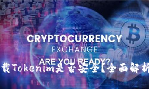 苹果商店下载Tokenim是否安全？全面解析与用户指南