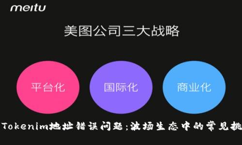 如何解决Tokenim地址错误问题：波场生态中的常见挑战与应对