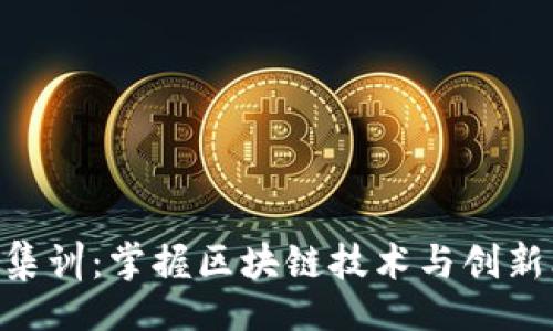 （Title）：  
Tokenim训练营集训：掌握区块链技术与创新思维的终极之旅