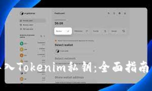 如何安全导入Tokenim私钥：全面指南与实用技巧