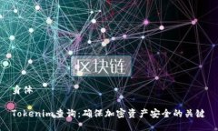身体Tokenim查询：确保加密资产安全的关键