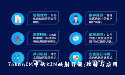 TokenIM中的KIN映射详解：理解与应用