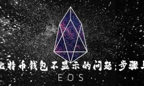 解决比特币钱包不显示的问题：步骤与建议