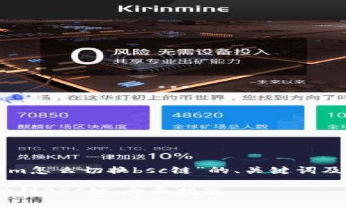 下面是有关于“tokenim怎么切换bsc链”的、关键词及详细内容介绍的结构。

如何在Tokenim上切换到BSC链：全面指南