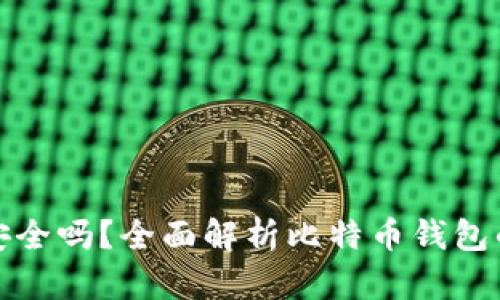 比特币存钱包安全吗？全面解析比特币钱包的安全性与选择