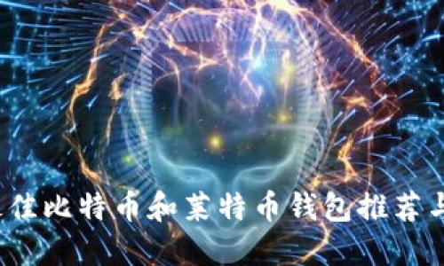 2023年最佳比特币和莱特币钱包推荐与安全指南