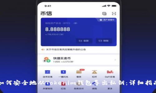如何安全地从Tokenim钱包导出私钥：详细指南