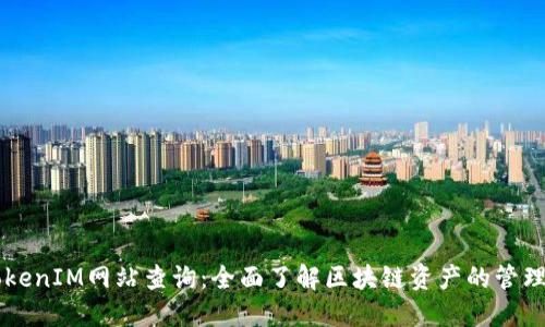 官方TokenIM网站查询：全面了解区块链资产的管理与应用
