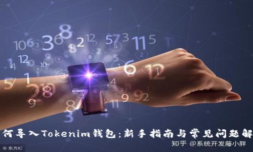如何导入Tokenim钱包：新手指南与常见问题解答