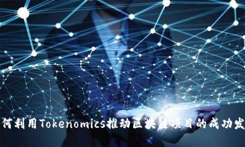 如何利用Tokenomics推动区块链项目的成功发展