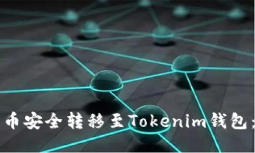 如何将屎币安全转移至Tokenim钱包：详细指南