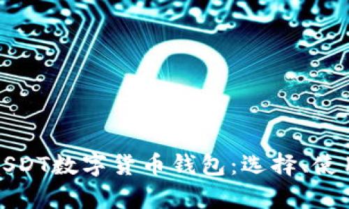 全面解析USDT数字货币钱包：选择、使用与安全性