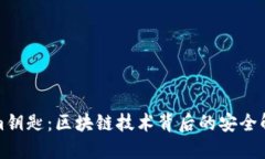 Tokenim钥匙：区块链技术背后的安全解决方案