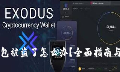 : USDT钱包被盗了怎么办？全面指南与补救措施