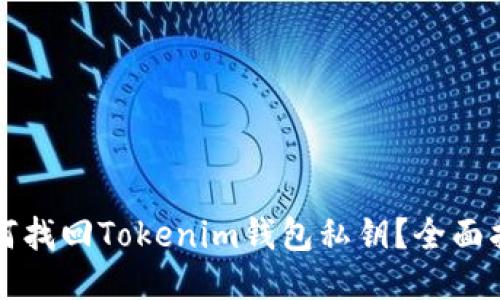 如何找回Tokenim钱包私钥？全面指南