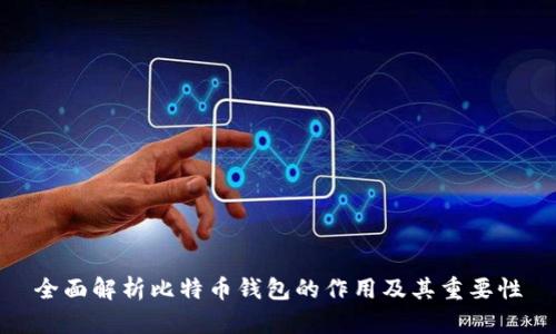 全面解析比特币钱包的作用及其重要性