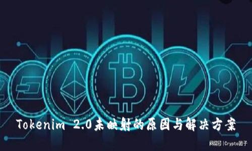 Tokenim 2.0未映射的原因与解决方案