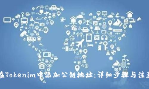 如何在Tokenim中添加公链地址：详细步骤与注意事项