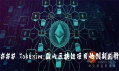 ### Tokenim：国内区块链项目的创新先锋