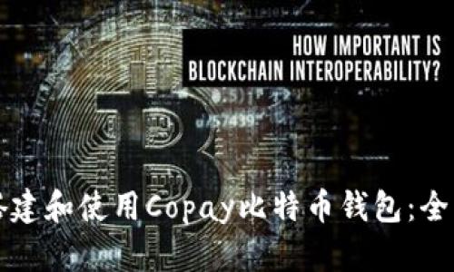 如何搭建和使用Copay比特币钱包：全面指南