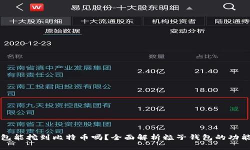 粒子钱包能挖到比特币吗？全面解析粒子钱包的功能与潜力