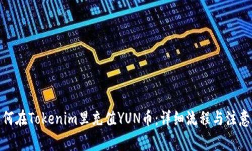 : 如何在Tokenim里充值YUN币：详细流程与注意事项