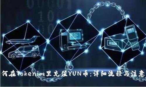 : 如何在Tokenim里充值YUN币：详细流程与注意事项