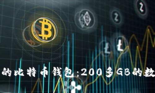 : 如何选择合适的比特币钱包：200多GB的数据存储需求解析