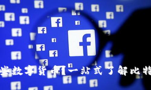 比特派支持哪些数字货币？一站式了解比特派的币种支持